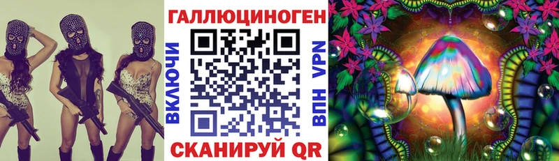 Галлюциногенные грибы Psilocybe  гидра рабочий сайт  Кодинск 