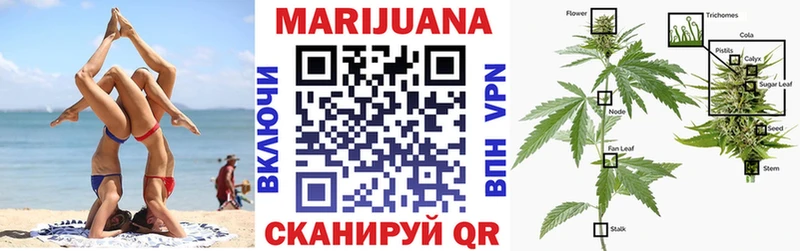 Шишки марихуана Amnesia  где можно купить   Кодинск 